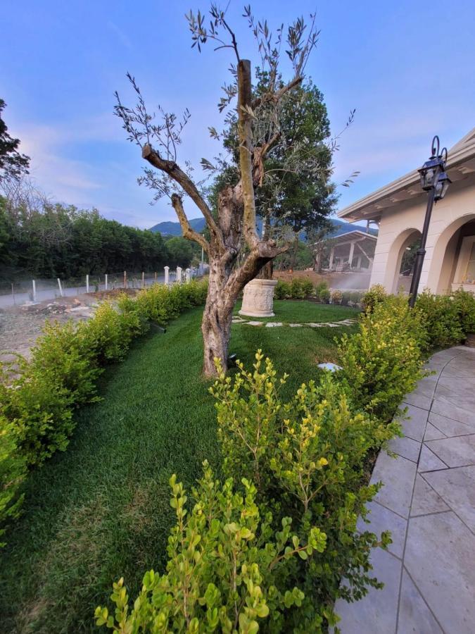 Tenuta Santo Stefano Azienda Agrituristica Santo Stefano del Sole 外观 照片